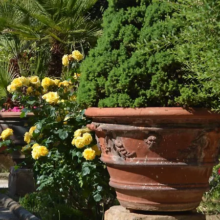 Casa Per Ferie Religiosa Figlie Di Nazareth Bed & Breakfast Pisa